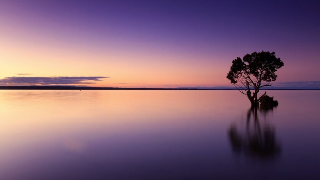 sunset, tree, water-1373171.jpg